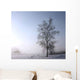 Single Tree Is Misty Wall Decal