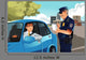 Traffic Violation Wall Decal