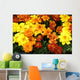 Tagetes African Marigolds Wall Decal