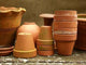 Terra Cotta Collection Wall Decal