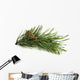 Pine Branch with Cones Wall Decal