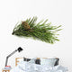 Pine Branch with Cones Wall Decal