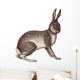 Hare Wall Decal