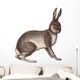 Hare Wall Decal
