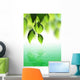 Fresh Green Leaves over Wall Decal