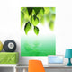 Fresh Green Leaves over Wall Decal