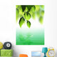Fresh Green Leaves over Wall Decal