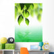 Fresh Green Leaves over Wall Decal