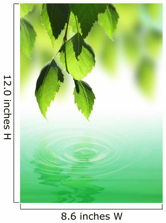 Fresh Green Leaves over Wall Decal