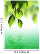 Fresh Green Leaves over Wall Decal