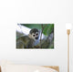Squirrel Monkeys Guyana Wall Decal