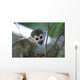 Squirrel Monkeys Guyana Wall Decal