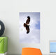 Brahminy Kite Wall Decal