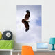 Brahminy Kite Wall Decal
