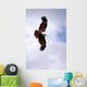 Brahminy Kite Wall Decal