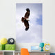Brahminy Kite Wall Decal
