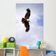 Brahminy Kite Wall Decal