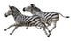 Zebra Wall Decal