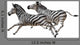 Zebra Wall Decal