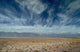 Death Valley USA Wall Decal
