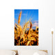 Weizen-ahre im Sommer Wall Decal
