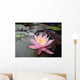 Water Lily Wall Decal