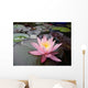 Water Lily Wall Decal