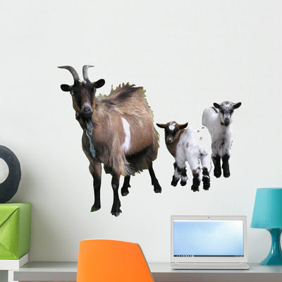 1386 Cha Vre Et Wall Decal shown on a wall