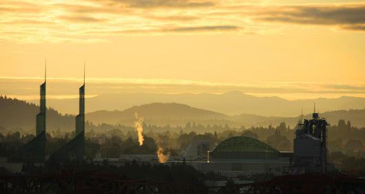 Dawn Light Portland Skyline Wall Decal