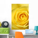 Elegant Yellow Rose Wall Decal