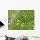 1461 Meadow Flowers Wall Decal