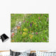 1461 Meadow Flowers Wall Decal