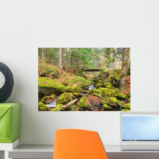 Ruisseau Montagne Wall Decal