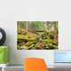 Ruisseau Montagne Wall Decal