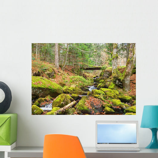 Ruisseau Montagne Wall Decal