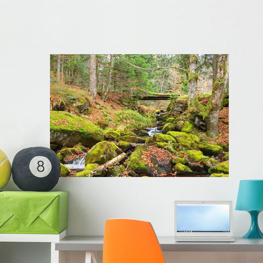 Ruisseau Montagne Wall Decal