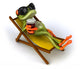 Grenouille En Vacances Wall Decal
