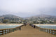 Ventura Pier California Wall Decal