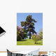 Pine Tree against Blue Wall Decal