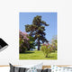 Pine Tree against Blue Wall Decal
