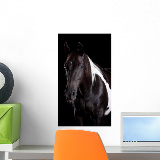 Horse Portrait Wall Decal