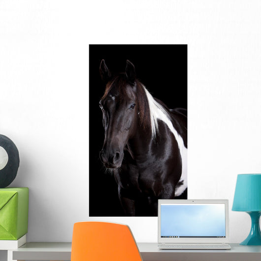 Horse Portrait Wall Decal