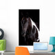 Horse Portrait Wall Decal