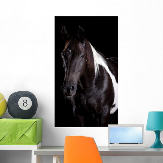 Horse Portrait Wall Decal