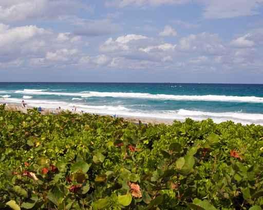 Beach Scenic Wall Decal