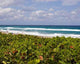 Beach Scenic Wall Decal