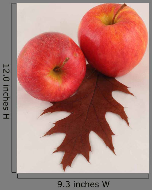 Autumn 3 Wall Decal