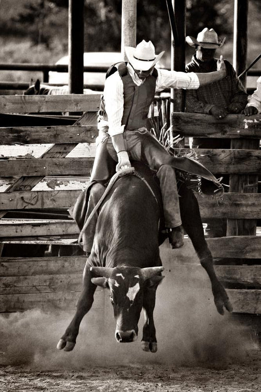 Rodeo Wallpaper Border