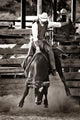 Rodeo Cowboy Bull Riding Wall Decal