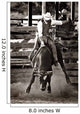 Rodeo Cowboy Bull Riding Wall Decal